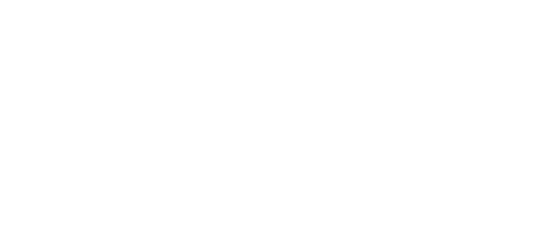 Logo Stereo Bros DJ e Producer